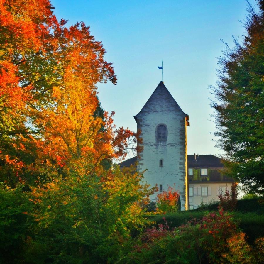 Lakelodge Romanshorn Dış mekan fotoğraf